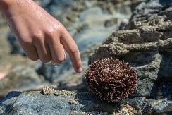 KAZNA I DO 3.000 EVRA Stvar koju redovno radimo na moru, a Grčka to papreno kažnjava