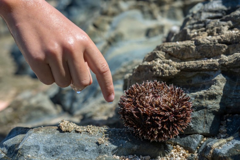 KAZNA I DO 3.000 EVRA Stvar koju redovno radimo na moru, a Grčka to papreno kažnjava