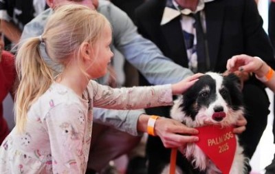 PAS PANDA OSVOJIO NAGRADU U KANU Bio je sjajan u porodičnoj drami