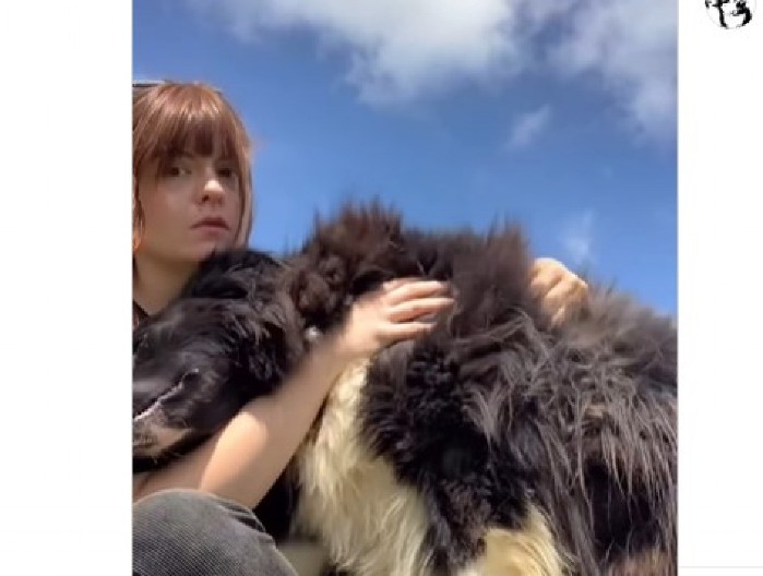 ISTOPIĆE I NAJTVRĐA SRCA Snimak devojke koja ljubi psa raznežio 50 miliona ljudi!