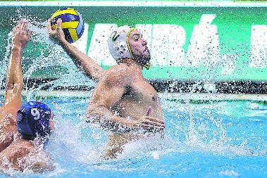 IDEMO, BRE! Srbi napadaju pehar Lige šampiona