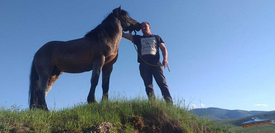 MUČKI UBIJEN KONJ NA ZLATIBORU Nesrećna životinja ubodena dva puta u slezinu, vlasnik u potpunom šoku (FOTO)