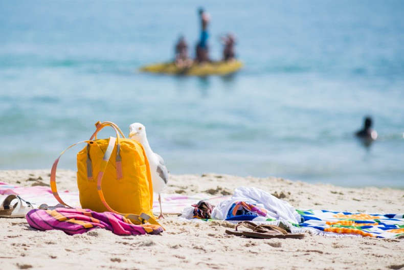 PAZITE, DA VAM NE PRESEDNE ODMOR Sprečite krađu na plaži - zapamtite ove savete