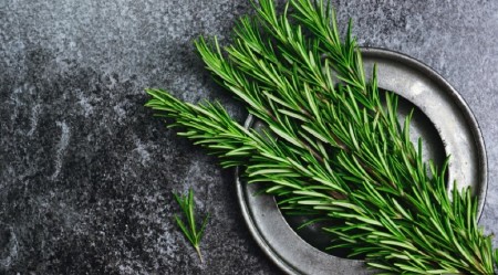 OVA BILJČICA POBOLJŠAVA MEMORIJU I KONCENTRACIJU Dokazano – ima povoljne efekte na Alchajmerovu bolest