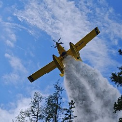 NE PALITE RASTINJE! Ove godine 169 osoba stradalo u požarima: Vatrogasci uputili apel