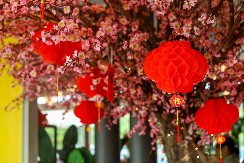 KINESKI HOROSKOP ZA DRUGU POLOVINU 2025. GODINE U narednih šest meseci ovih 5 znakova će bukvalno plivati u novcu