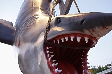 POLA VEKA OD PREMIJERE FILMA KOJI I DANAS LEDI KRV U ŽILAMA "Ajkula" Stivena Spilberga ima najstrašnije scene u istoriji filma i prvi je blokbaster u istoriji