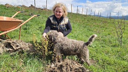 RUSKINJA IRINA GRADSKU VREVU ZAMENILA SELOM U SRBIJI Uživa u svom raju dok gaji koze: One mi dosta pomažu (FOTO)
