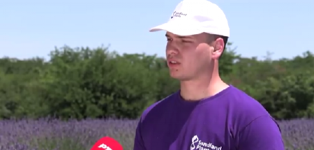 STEFAN GAJI POSEBNU BILJKU I SVE PRODA PREKO INTERNETA! Stranci hrle kod njega u Deliblato (FOTO)