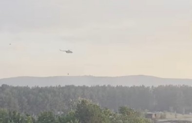 IZGORELO 60 VIKENDICA KOD GOLUPCA: Vatrogasci i helikopteri i dalje bore sa vatrenom stihijom! (VIDEO)