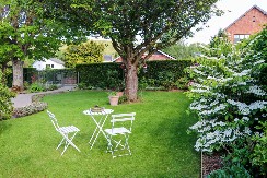 SAD NIJE VREME Zažalićete ako ovo uradite tokom leta, travnjak neće biti bujan i zelen