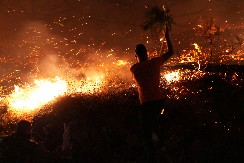 HILJADE LJUDI EVAKUISANO Veliki šumski požar (FOTO/VIDEO)