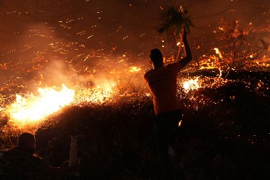 HILJADE LJUDI EVAKUISANO Veliki šumski požar (FOTO/VIDEO)