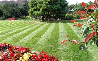 TRAVNJAK KAO IZ FILMA Evo kako da trava raste baš tamo gde treba, baštovani znaju u čemu je stvar