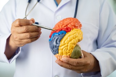 PODMLADITE MOZAK Ima da radi kao podmazan kada primenite ove navike, ishrana je važna, ali i ovo