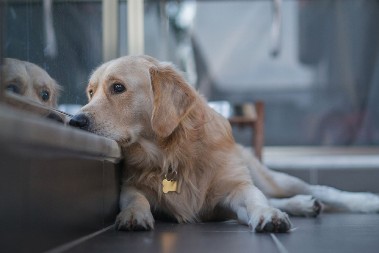 POBEDIO JE VELIKI STRAH Pogledajte kako mu je to uspelo