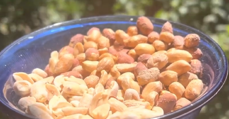 KIKIRIKI MOŽE BITI KOBAN ZA MALU DECU! Roditelji, oprezno sa ovim namirnicama: Ne dajte im nikako