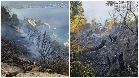 SCENE UŽASA IZ NJIVICA Požar guta brdo, vatrenoj stihiji ne mogu da stanu na kraj! (FOTO)