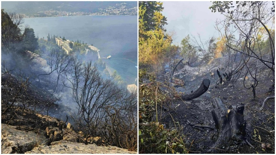 SCENE UŽASA IZ NJIVICA Požar guta brdo, vatrenoj stihiji ne mogu da stanu na kraj! (FOTO)