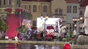 SLAVLJE NA OSTRVU NAKON ŠTO JE ON NAPUSTIO ELITU 8 Napao ga ceo studio, a on izustio ovo!