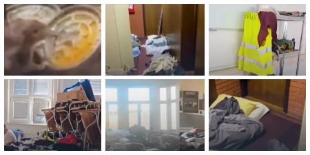 "ŠTO SE TIČE SVINJCA KOJI SU NAPRAVILI SVUDA - TO BI OSTALO OD DRŽAVE" Vučić reagovao na grozno ponašanje zgubidana (VIDEO)