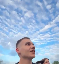 NAJEZDA SKAKAVACA NA PRVOJ LINIJI FRONTA: Insekti okupirali selo u Zaporožju (VIDEO)