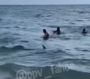 STAVIČAN NAPAD MORSKE NEMANI Ušunjala se u poznato letovalište! Muškarac zadobio teške povrede