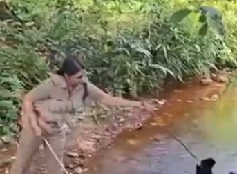 MEŠTANI MISLILI DA JE GRANJE, A ONDA SE POMERILO Džinovska zver od 6 metara vrebala iz potoka, prizor ledi krv u žilama! (VIDEO)