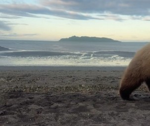 FOTOGRAFA SEKUNDE DELILE OD KATASTROFE Nije ni slutio šta mu se prikrada iza leđa, scena šokirala milione! (VIDEO)