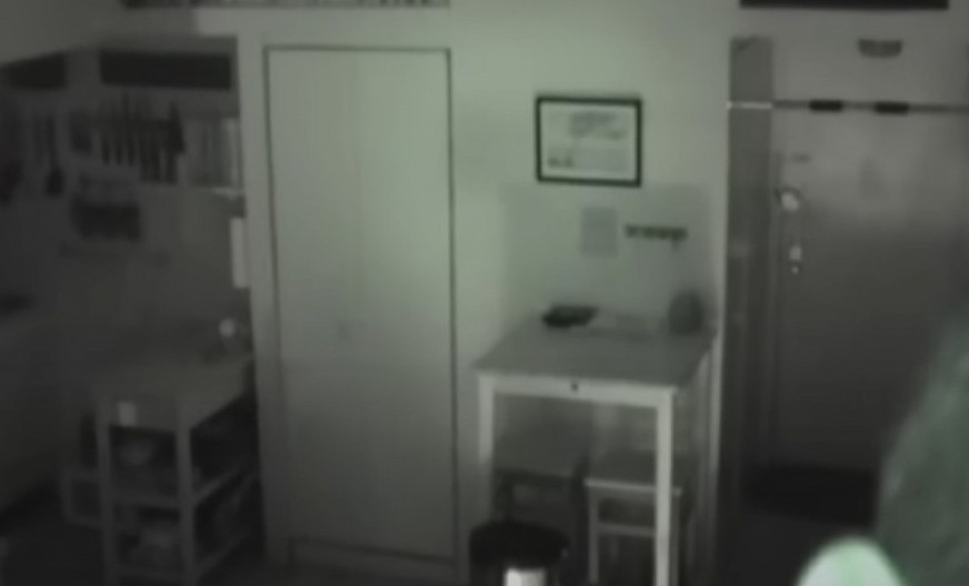 HRANA MU JE DANIMA NESTAJALA, A ONDA JE POSTAVIO KAMERU Ono što je video na snimku sledilo mu je krv u žilama! (VIDEO)