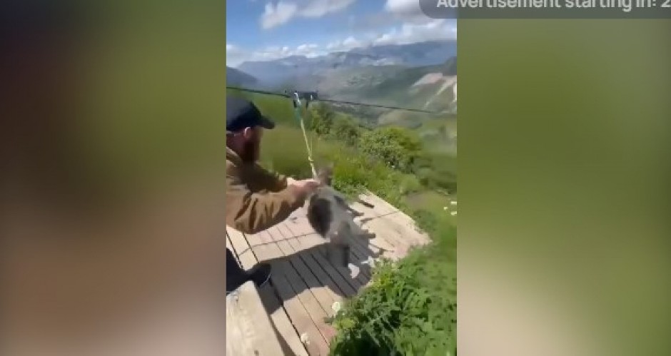 "POZVAO SE NA ČLAN 51!" Magarac ćuti nakon zip-lajn vožnje, policija nemoćna! (VIDEO)