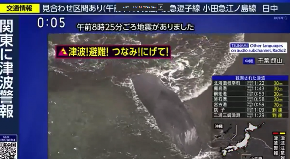 HITNO PRENOSE UŽIVO NA JAPANSKOJ TELEVIZIJI: Pogledajte šta se dešava kitovima nakon razornog zemljotresa! (VIDEO)