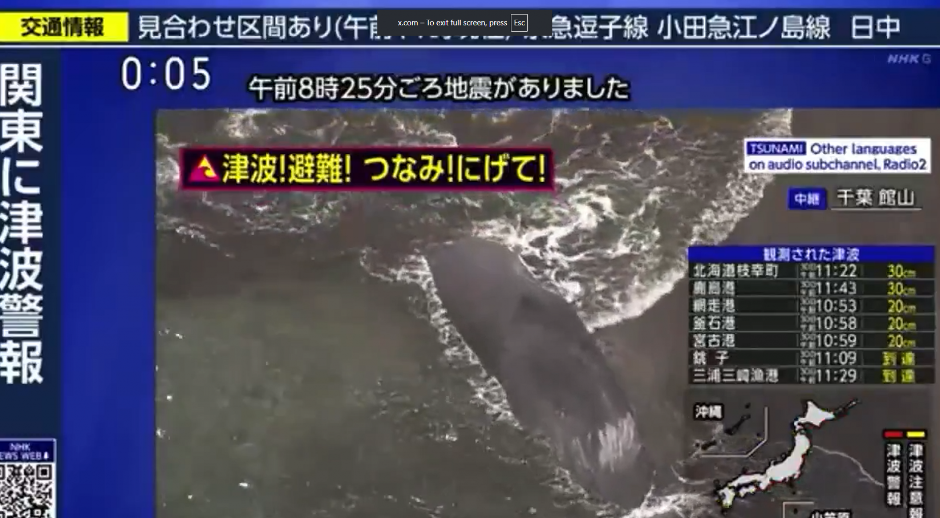 HITNO PRENOSE UŽIVO NA JAPANSKOJ TELEVIZIJI: Pogledajte šta se dešava kitovima nakon razornog zemljotresa! (VIDEO)
