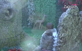 OGROMAN PEH PRODUKCIJE! Isplivao snimak gde se čuo pravi glas Drveta mudrosti, zadrugarka iskolačila oči od šoka (VIDEO)