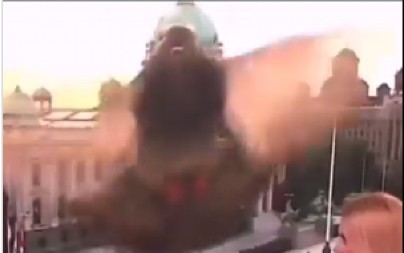 GOLUB U JUTARNJEM NAPRAVIO HAOS! Zaleteo se na kameru, voditeljka zamalo skočila sa stolice (VIDEO)