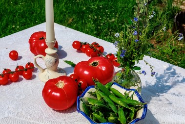 ŠOK IZ BAŠTE Slavko ubrao paradajz od tri kilograma – „Blizanac“ zapanjio komšiluk