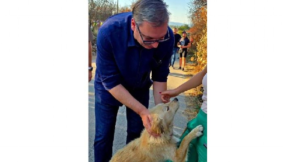 VUČIĆ ODUŠEVIO FOTOGRAFIJOM IZ ŽITORAĐE: "Diplomatija na četiri šape“ u akciji! (FOTO)