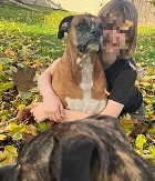 NATALI (15) UBILA UČITELJA I UČENIKA, RANILA NJIH 6, PA IZVRŠILA SAMOUBISTVO! Otac devojčice se hvalio na mrežama kako je vodio u streljanu (FOTO)