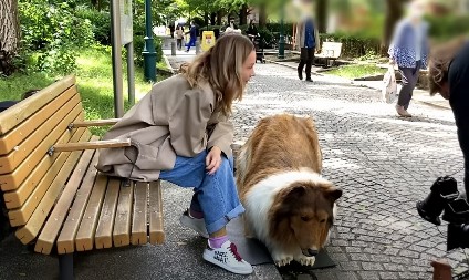 DOBRO UPAMTITE OVU REAKCIJU U blizini loše osobe svaki pas uradi jednu stvar
