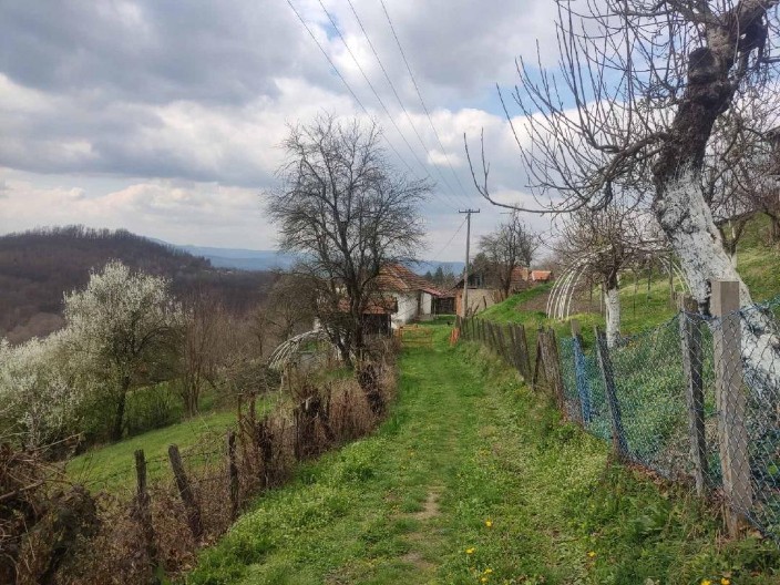 SUD DONEO ODLUKU Sanela za ubistvo muža osuđena na 12 godina robije