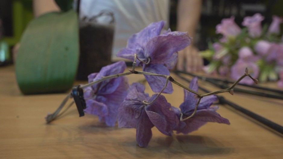 ČAČANKA SPAŠAVA MUŽEVE OD PROPASTI BRAKA Sabina je našla rešenje za probleme jačeg pola, radi 24/7 (FOTO)