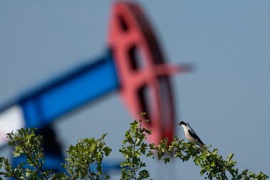 ZA SADA JE SVE U REDU NIS posluje neometano