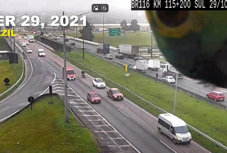 ŠOK SCENA SNIMLJENA KAMEROM, A ONDA JE U KADAR ULETELA OVA ŽIVOTINJA Kad vidite kako pozira, plakaćete od smeha! (VIDEO)