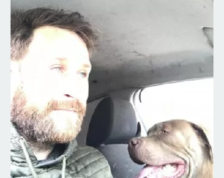 (UZNEMIRUJUĆA FOTOGRAFIJA) Pas brutalno napao devojčicu (12) Vlasnik ravnodušan tokom incidenta