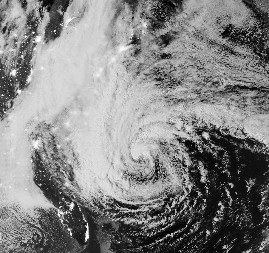 OLUJA RAZORILA SVE PRED SOBOM, OGLASILO SE MINISTARSTVO: ''Sve je devastirano, objekti su potpuno uništeni...''