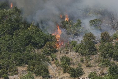 UHAPŠEN PIROMAN IZ CRNE GORE! Zapalio šumu zbog bakarnih kablova!