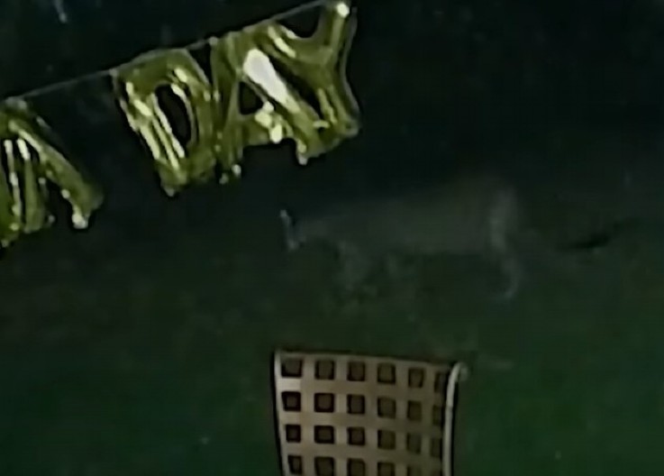 MONSTRUM NAPAO DEVOJČICU ISPRED KUĆE Divlja zver je zaskočila s leđa, tragedija izbegnuta u poslednjoj sekundi! (VIDEO)