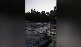 PANČEVOM ODJEKUJU JAUCI: Skuterom pregazio decu na Tamišu – četvoro povređeno! (VIDEO)