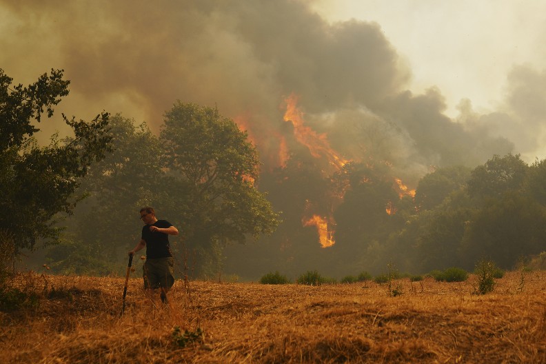 PLJEVLJAK PALIO TRAVU PA IZAZVAO POŽAR  Vatru nije mogao da kontroliše pa se ona proširila, sada je uhapšen