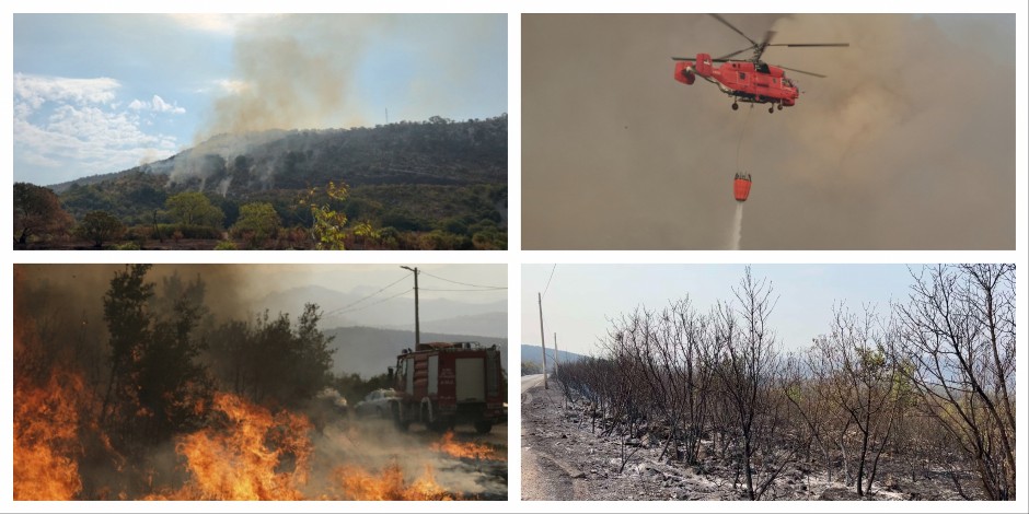 BUKNULI NOVI POŽARI TOKOM NOĆI U CRNOJ GORI, VATROGASCI ODBRANILI DOMOVE Helikopter iz Srbije danas gasi vatru na području Dinoše (FOTO)